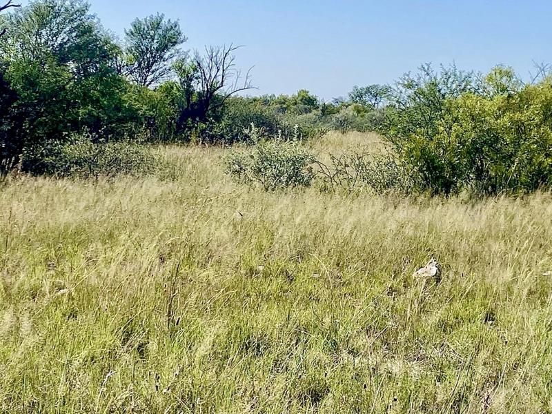 0 Bedroom Property for Sale in Reivilo Rural North West
